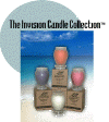 INVISION FRENCH VANILLA SCENTED CANDLE 9.5 OZ 