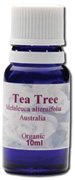 Tea Tree